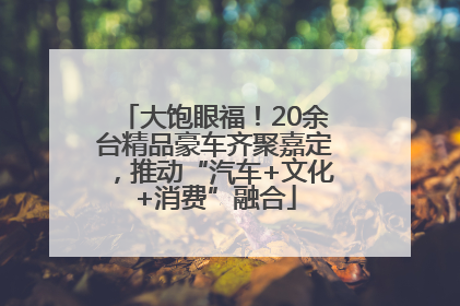 大饱眼福！20余台精品豪车齐聚嘉定，推动“汽车+文化+消费”融合