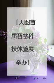 天图首届智慧科技体验展举办
