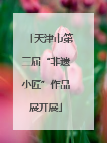 天津市第三届“非遗小匠”作品展开展