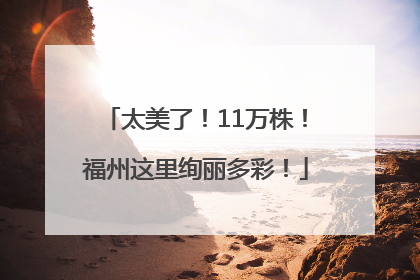 太美了！11万株！福州这里绚丽多彩！