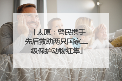 太原：警民携手 先后救助两只国家二级保护动物红隼