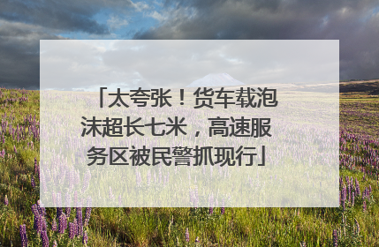 太夸张！货车载泡沫超长七米，高速服务区被民警抓现行