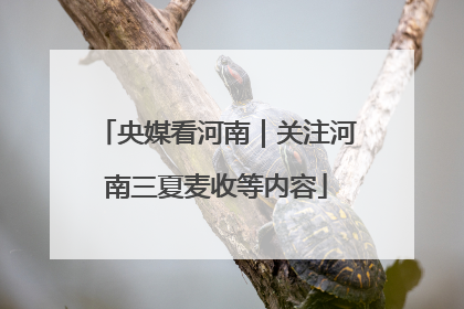央媒看河南｜关注河南三夏麦收等内容