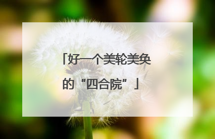 好一个美轮美奂的“四合院”