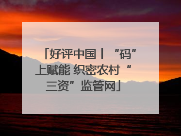 好评中国丨“码”上赋能 织密农村“三资”监管网