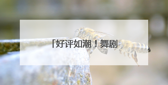 好评如潮！舞剧《咏春》在潍坊大剧院震撼上演
