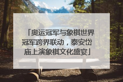 奥运冠军与象棋世界冠军跨界联动，泰安岱庙上演象棋文化盛宴