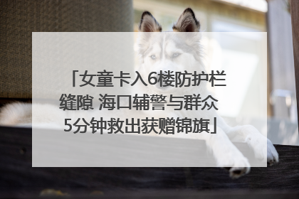 女童卡入6楼防护栏缝隙 海口辅警与群众5分钟救出获赠锦旗