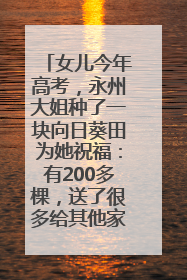 女儿今年高考，永州大姐种了一块向日葵田为她祝福：有200多棵，送了很多给其他家长
