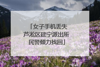 女子手机丢失 芦淞区建宁派出所民警倾力找回
