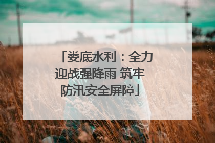 娄底水利：全力迎战强降雨 筑牢防汛安全屏障