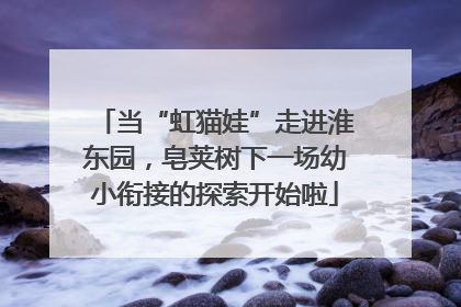 当“虹猫娃”走进淮东园，皂荚树下一场幼小衔接的探索开始啦