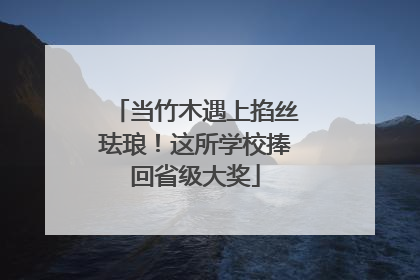 当竹木遇上掐丝珐琅！这所学校捧回省级大奖