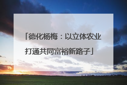 德化杨梅：以立体农业打通共同富裕新路子