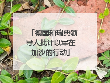 德国和瑞典领导人批评以军在加沙的行动