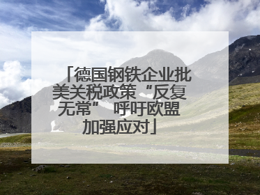 德国钢铁企业批美关税政策“反复无常” 呼吁欧盟加强应对