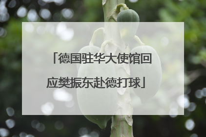 德国驻华大使馆回应樊振东赴德打球