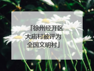 徐州经开区大庙村被评为全国文明村