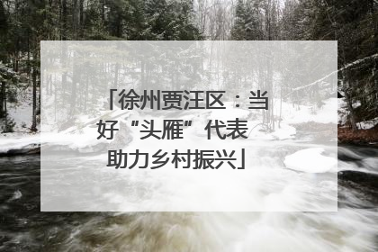 徐州贾汪区：当好“头雁”代表 助力乡村振兴