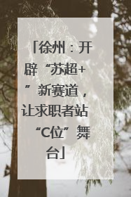 徐州：开辟“苏超+”新赛道，让求职者站“C位”舞台