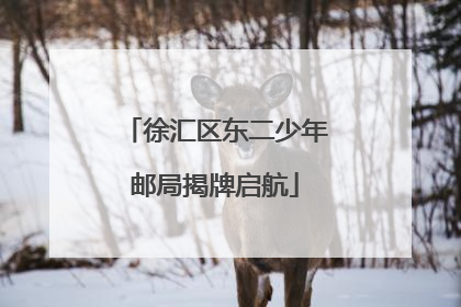 徐汇区东二少年邮局揭牌启航