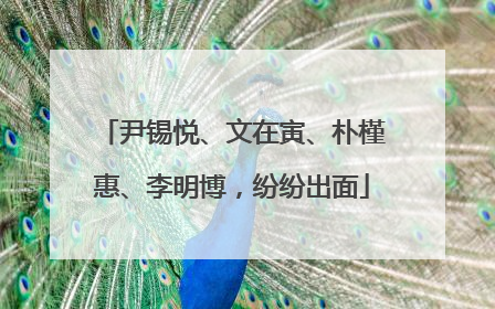 尹锡悦、文在寅、朴槿惠、李明博，纷纷出面