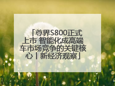 尊界S800正式上市 智能化成高端车市场竞争的关键核心丨新经济观察