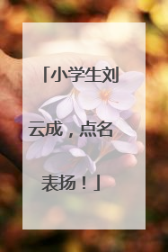 小学生刘云成，点名表扬！