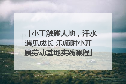 小手触碰大地，汗水遇见成长 乐师附小开展劳动基地实践课程