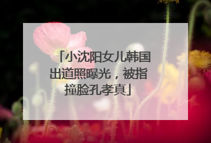 小沈阳女儿韩国出道照曝光，被指撞脸孔孝真