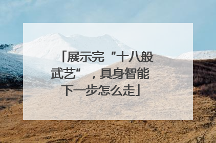 展示完“十八般武艺”，具身智能下一步怎么走
