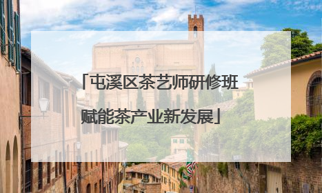 屯溪区茶艺师研修班赋能茶产业新发展