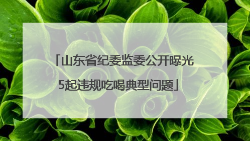 山东省纪委监委公开曝光5起违规吃喝典型问题
