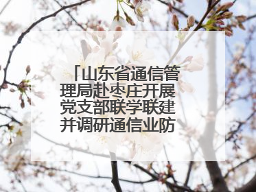 山东省通信管理局赴枣庄开展党支部联学联建并调研通信业防汛准备工作