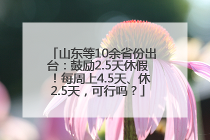 山东等10余省份出台：鼓励2.5天休假！每周上4.5天、休2.5天，可行吗？
