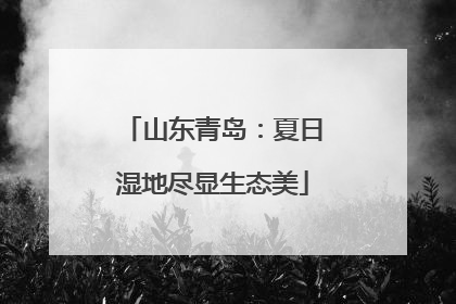 山东青岛：夏日湿地尽显生态美
