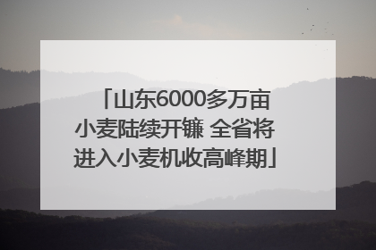山东6000多万亩小麦陆续开镰 全省将进入小麦机收高峰期
