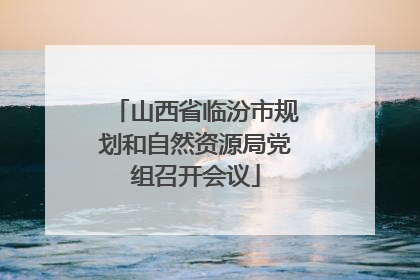 山西省临汾市规划和自然资源局党组召开会议