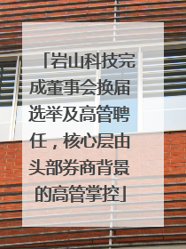 岩山科技完成董事会换届选举及高管聘任，核心层由头部券商背景的高管掌控