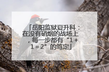 岳阳监狱夏升科：在没有硝烟的战场上，每一步都有“1＋1＝2”的笃定