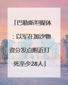 巴勒斯坦媒体：以军在加沙物资分发点附近打死至少28人