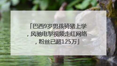巴西9岁男孩骑猪上学，风驰电掣视频走红网络，粉丝已超125万