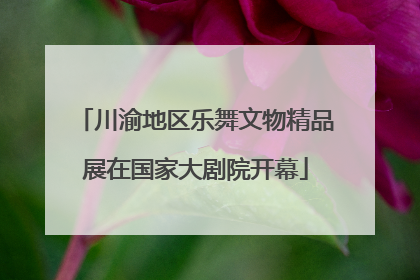 川渝地区乐舞文物精品展在国家大剧院开幕