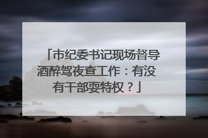 市纪委书记现场督导酒醉驾夜查工作：有没有干部耍特权？