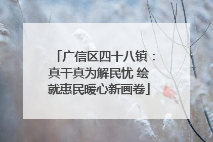 广信区四十八镇：真干真为解民忧 绘就惠民暖心新画卷