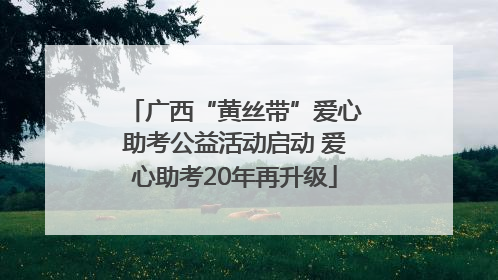 广西“黄丝带”爱心助考公益活动启动 爱心助考20年再升级