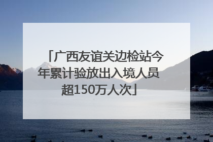 广西友谊关边检站今年累计验放出入境人员超150万人次