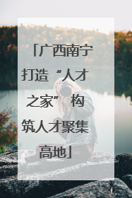 广西南宁打造“人才之家” 构筑人才聚集高地
