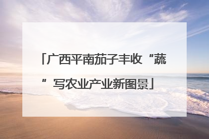 广西平南茄子丰收“蔬”写农业产业新图景