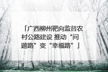 广西柳州靶向监督农村公路建设 推动“问题路”变“幸福路”